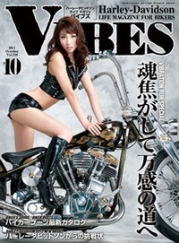 vibes_2011_10_a.jpg